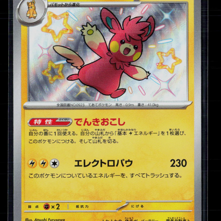 Pokemon Shiny Treasure ex Pawmot S Japanese #249/190 S