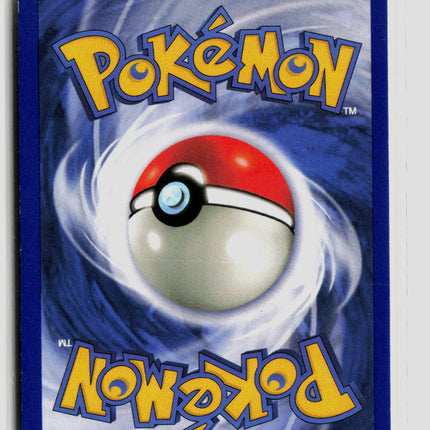 Pokemon 1999 Jungle Eevee #51/64