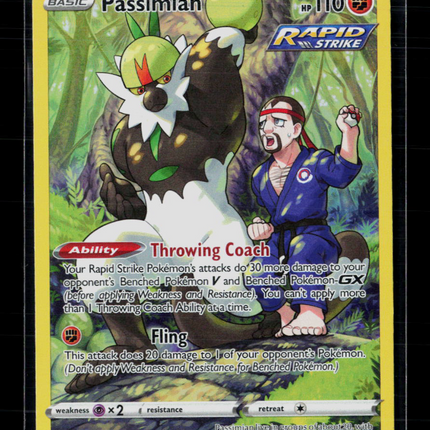 Pokemon 2022 Astral Radiance Passimian CHR #TG08/TG30