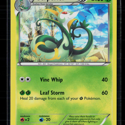 Pokemon 2011 Black & White Serperior #5/114 Cracked Ice