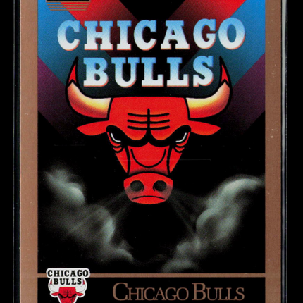 1990 SkyBox #331 Checklist