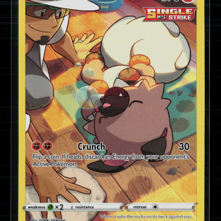 Pokemon 2022 Astral Radiance Rockruff CHR #TG07/TG30