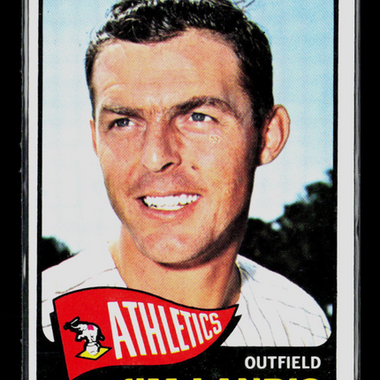 1965 Topps Jim Landis #376