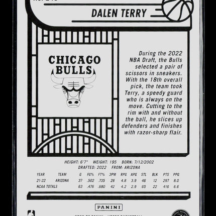 2022 Panini Hoops Winter Dalen Terry #248 RC
