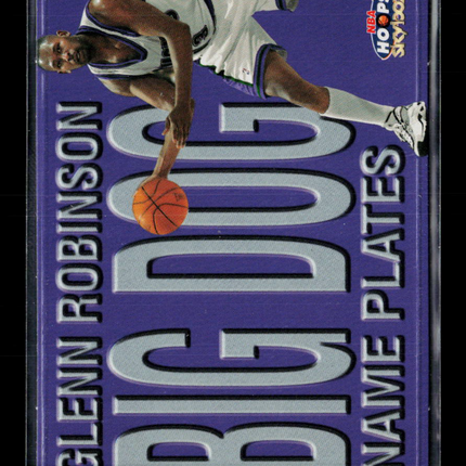1999 Hoops SkyBox Name Plates Glenn Robinson #6 NP