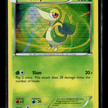 Pokemon 2011 Black & White Snivy #BW01