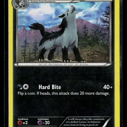 Pokemon 2013 Kalos Starter Set Mightyena #17/39