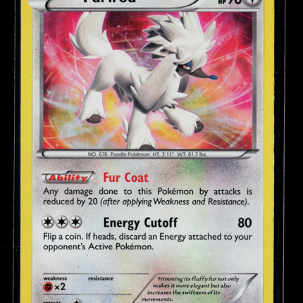 Pokemon 2014 XY Furfrou #114/146