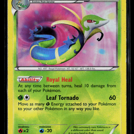 Pokemon 2012 Dragons Exalted Serperior SR #125/124