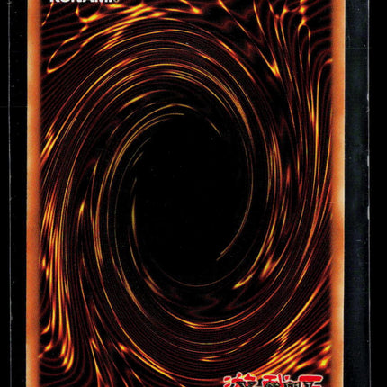 Yu-Gi-Oh! Starter Deck: Joey Red-Eyes B. Dragon