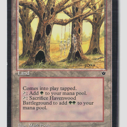 Magic: The Gathering Fallen Empires Havenwood Battleground