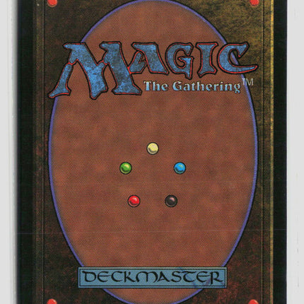 Magic: The Gathering Fallen Empires Havenwood Battleground