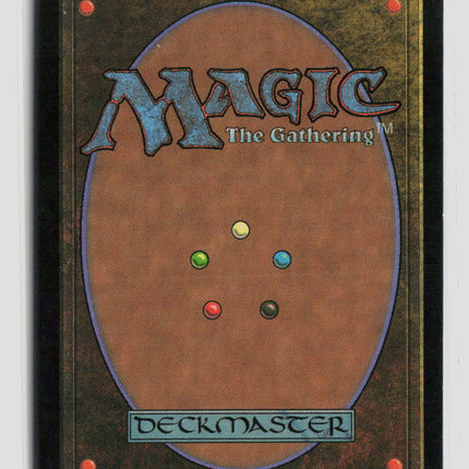 Magic: The Gathering Visions Quirion Ranger