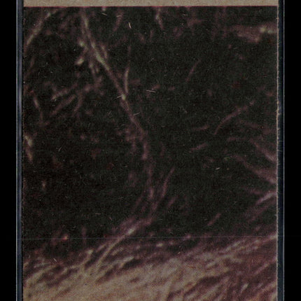 1977 Topps Star Wars Puzzle Back #84