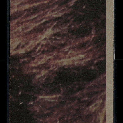 1977 Topps Star Wars Carrie Fisher #106