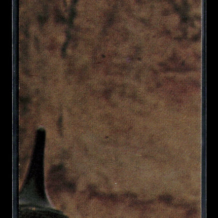 1977 Topps Star Wars Series 2 Peter Mayhew #101