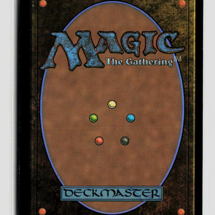 Magic: The Gathering Identity Echo (Borderless) Reality Fracture R • 371 Foil