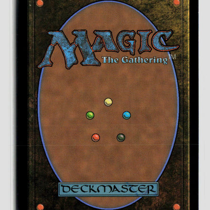 Magic: The Gathering Island (Borderless) (0385) Reality Fracture L • 385 Foil