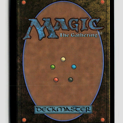 Magic: The Gathering Plains (Borderless) (0382) Reality Fracture L • 382 Foil
