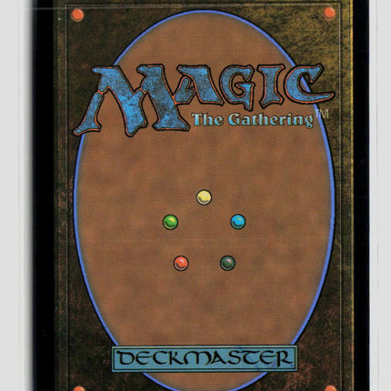 Magic: The Gathering Hall of Echoes (Borderless) Reality Fracture R • 379 Normal