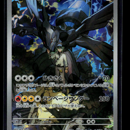 Pokemon N'S Zekrom Japanese #210/193