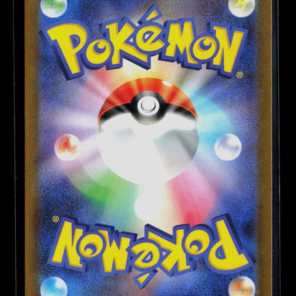 Pokemon N'S Zekrom Japanese #210/193