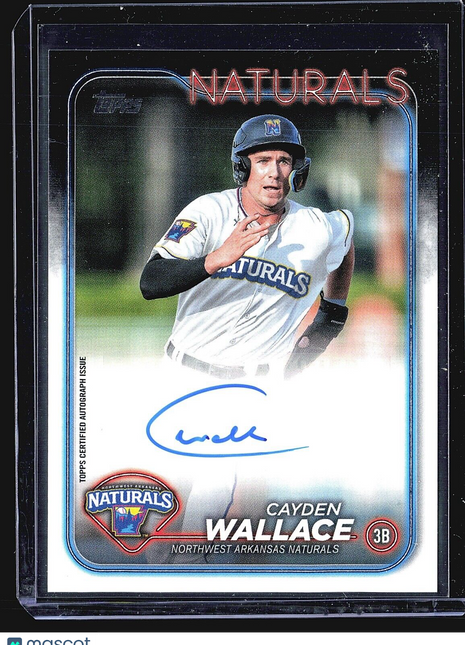2024 Topps Pro Debut - #PD-24 Cayden Wallace (RC) Auto