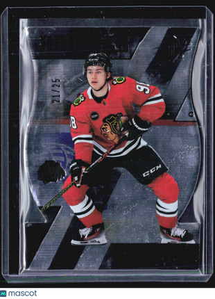 2023-24 UD SPx Connor Bedard NHL Shield Rc #101 /25