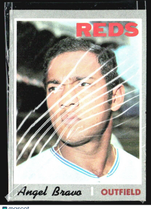 1970 Topps - #283 Angel Bravo