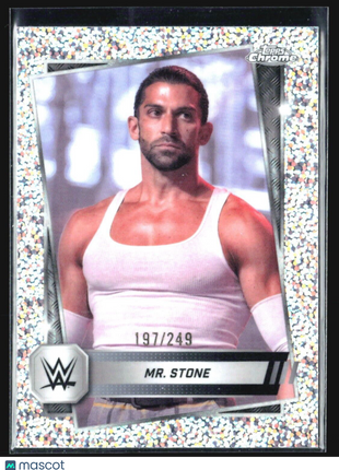 2025 Topps Chrome WWE MR Stone Speckle #173 /249