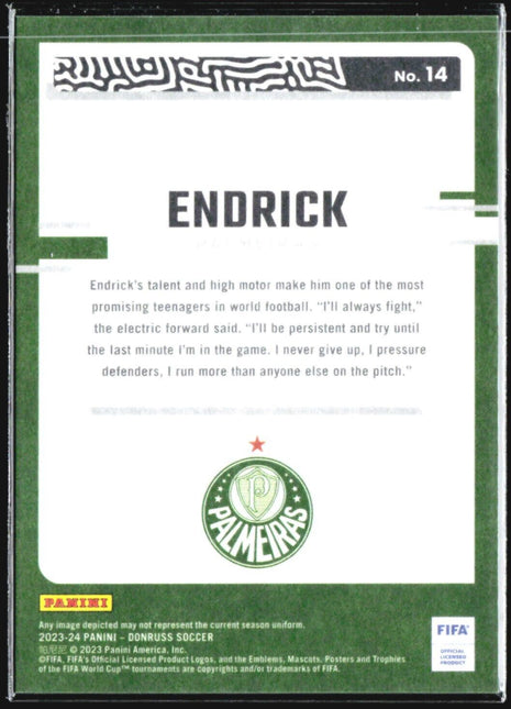 2023-24 Donruss FIFA The Rookies Endrick #14