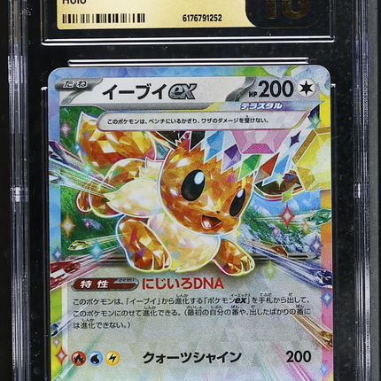 2024 Pokemon Terastal Fest EX Eevee ex Japanese CGC 10 #126/187