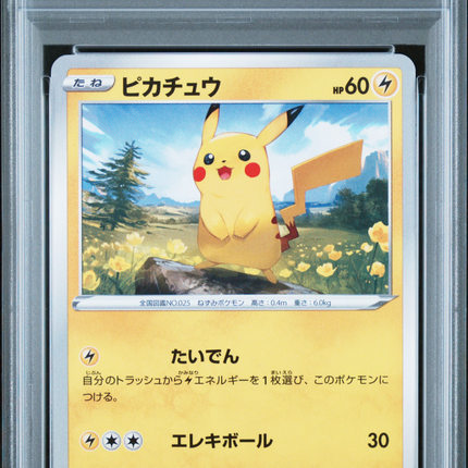 2021 Pokemon Sword & Shield Eevee Heroes Pikachu Japanese PSA 10 #026